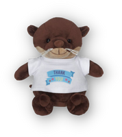 Peluche MiniMe raton laveur personnalisable